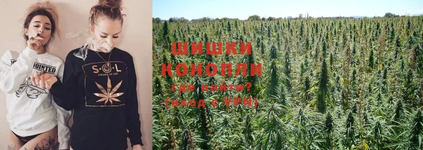 гидропоника Наволоки
