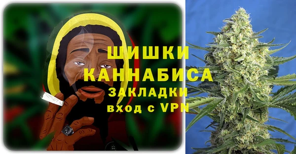 крисы Надым