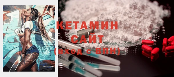 крисы Надым