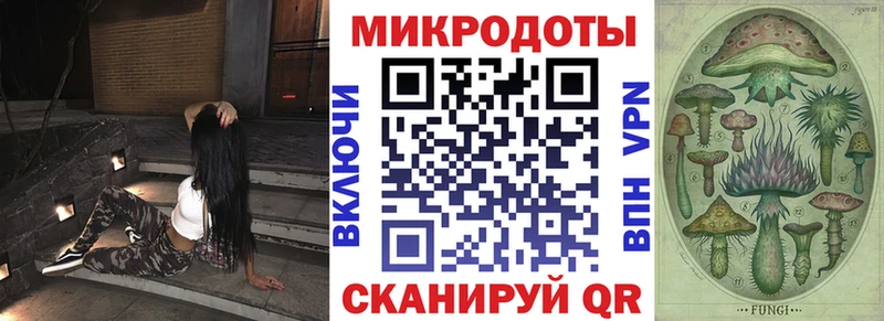 купить наркотик Тырныауз Псилоцибиновые грибы Psilocybe